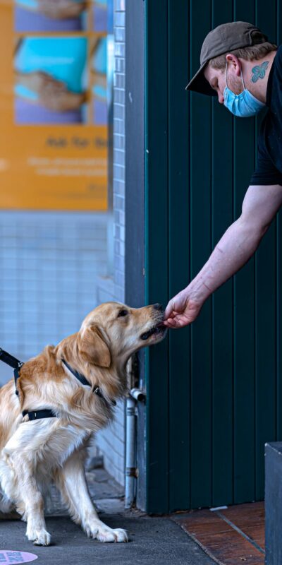 A man wearing a mask feeds a golden retriever on a city sidewalk.