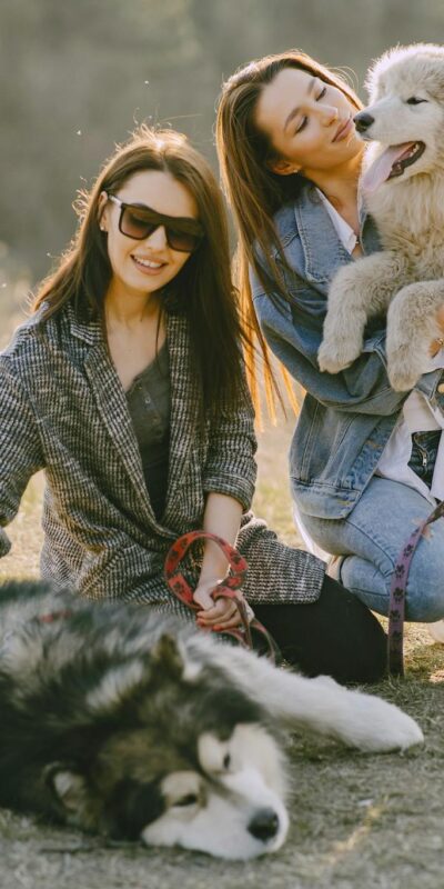 Two women in a grassy field playing with their fluffy dogs, enjoying a sunny day.